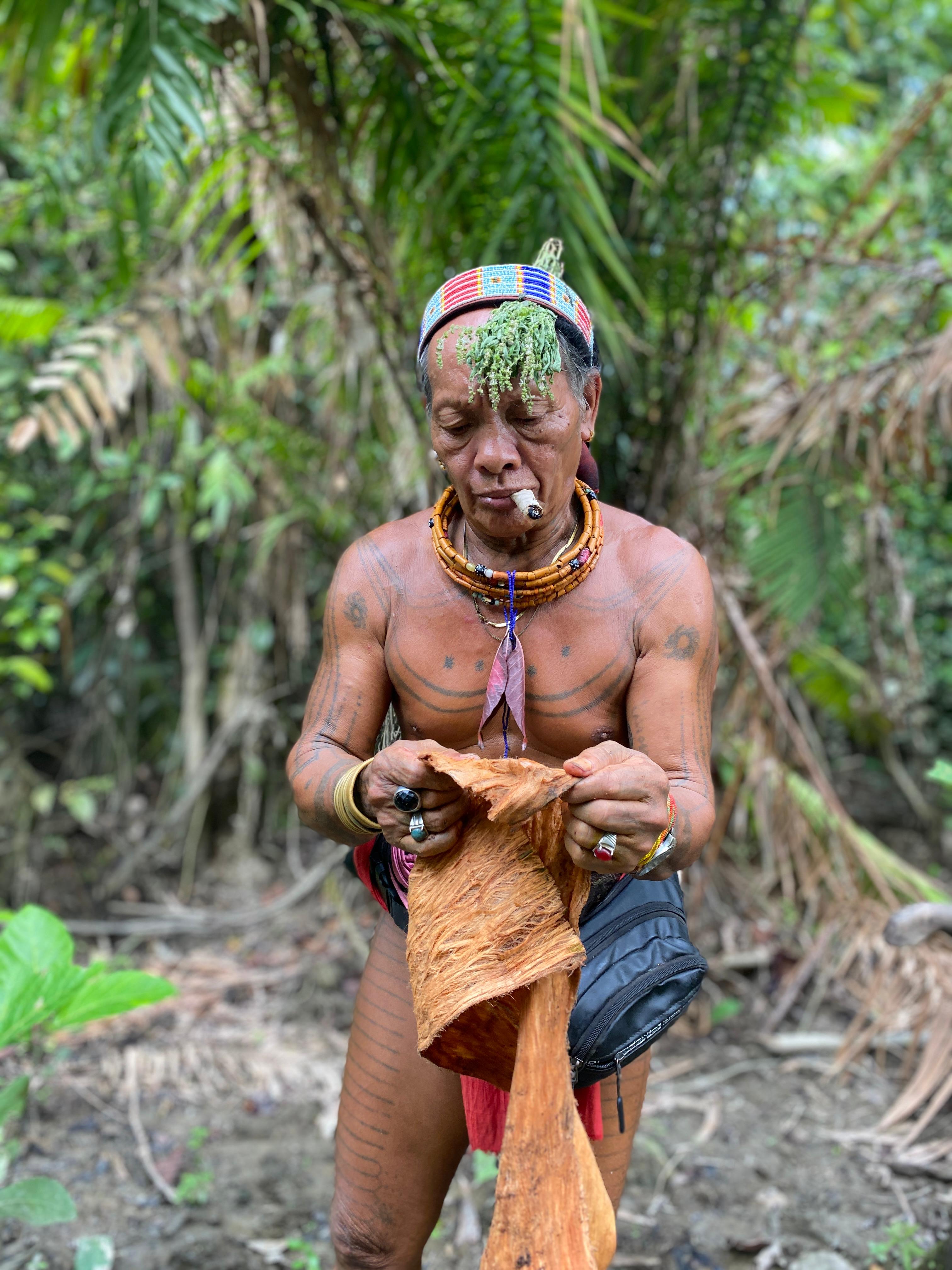 Mentawai Forest Life
