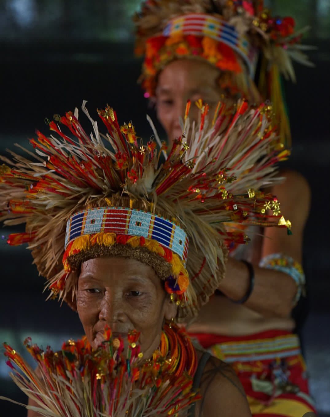 Cultural Immersion Experience